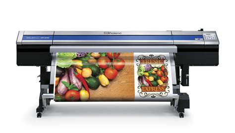 roland printer dealers south africa.